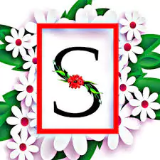 beautiful s name dp